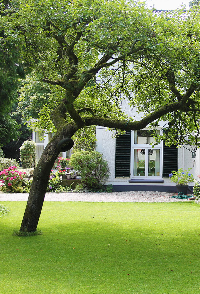 boudewijn-hoveniers-tuin-ontwerpschets-50-3