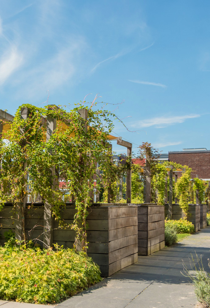 tuinen-en-landschap-architect-25-1