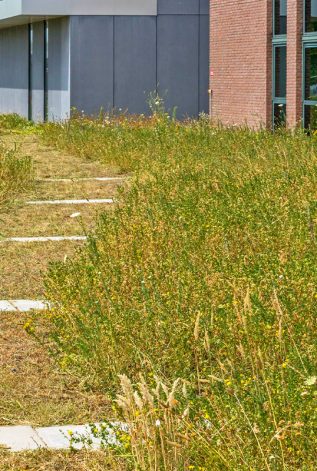 boudewijn-hoveniers-klassieke-tuin-gallerij-6