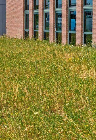 boudewijn-hoveniers-klassieke-tuin-gallerij-6