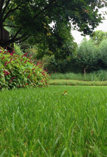 boudewijn-hoveniers-tuin-onderhoud-en-realisatie-25-28