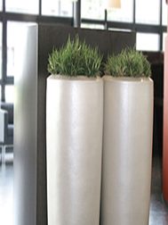 hoven-landscaping-interieurbeplanting