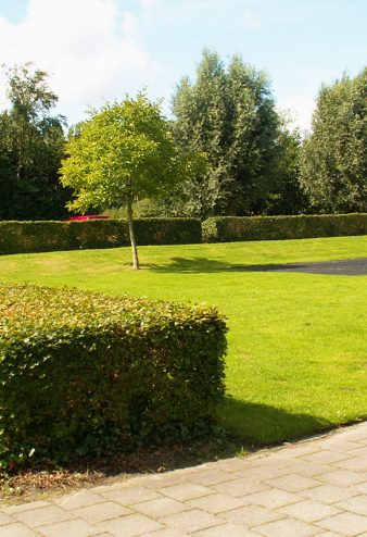 hoven-landscaping-llumc-curium-gallerij-3